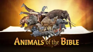 Zasłona do filmu "Animals of the Bible" #1624251