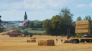 Zasłona do filmu "Un été à la ferme - L