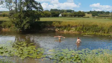 Zasłona do filmu "Un été à la ferme - L