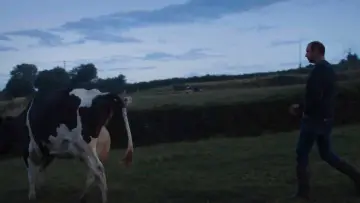 Zasłona do filmu "Un été à la ferme - L