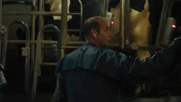 Zasłona do filmu "Un été à la ferme - L