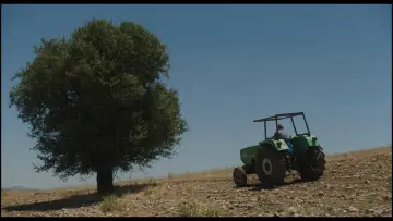 Zasłona do filmu "Κόκορας" #1647179