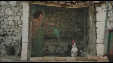 Zasłona do filmu "Κόκορας" #1647205