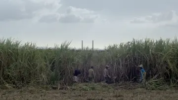 Zasłona do filmu "Nan Ginen" #936787