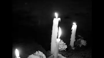 Zasłona do filmu "La Ofrenda" #1187397