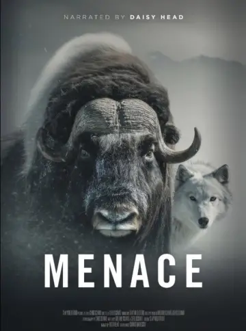 Muskox