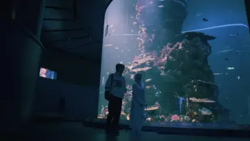 Zasłona do filmu "Ahlan Singapore" #818634