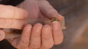 Zasłona do filmu "Cannabis, un paradoxe français" #1589727