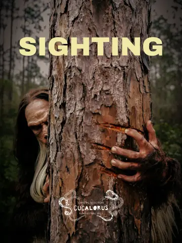 Plakat do filmu "Sighting" #1166696