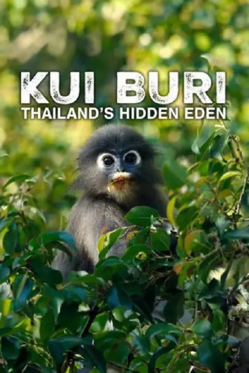 Plakat do filmu "Kui Buri: Thailand