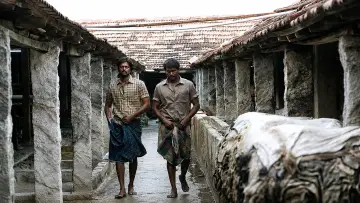 Zasłona do filmu "டோரதி" #1285612