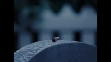 Zasłona do filmu "BUD" #1908346