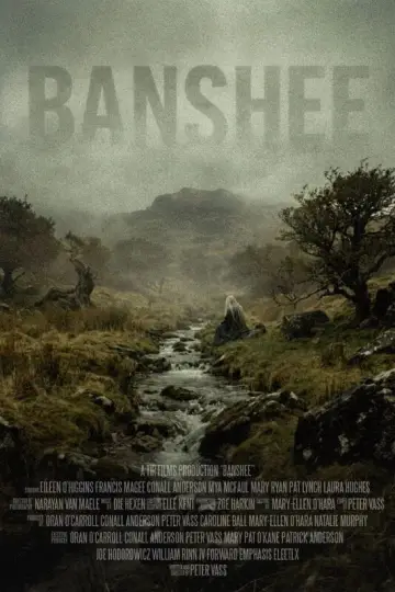 Banshee plakat