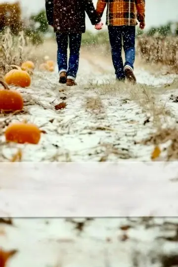 Snow Falling on Pumpkins