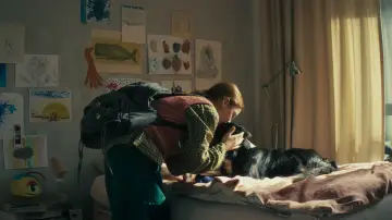 Zasłona do filmu "Psoty" #1653280