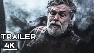 Zasłona do filmu "Herman" #1888206