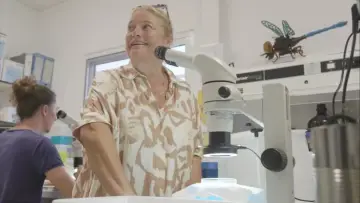 Zasłona do filmu "Traquer l