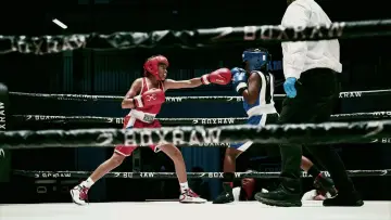 Zasłona do filmu "They Fight" #915344