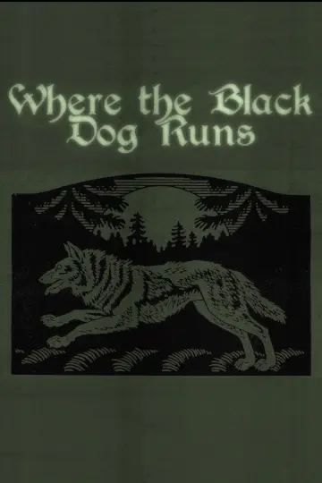 Plakat do filmu "Where the Black Dog Runs" #821444