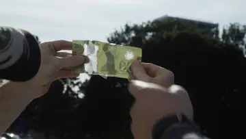 Zasłona do filmu "VERMIN" #1142786