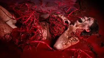 Zasłona do filmu "El Cuerpo de Lili" #1191545