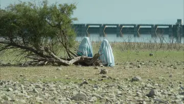 Zasłona do filmu "L