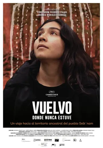 Vuelvo donde nunca estuve plakat