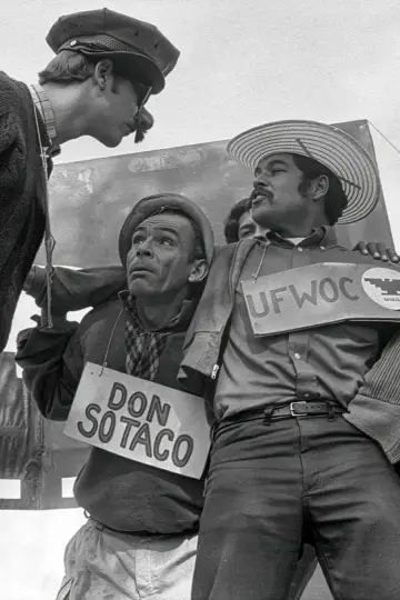 Plakat do filmu "American Pachuco: The Legend of Luis Valdez" #544117