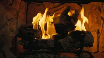 Zasłona do filmu "Fallout: Ghulowych świąt" #643018