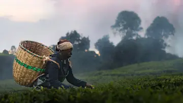 Kikuyu Land