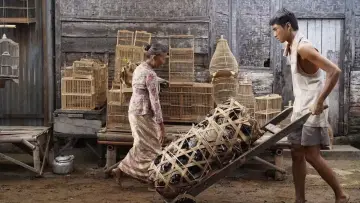 Zasłona do filmu "Rencana Besar untuk Mati dengan Tenang" #920197
