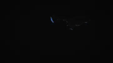 Zasłona do filmu "Mycélium" #1191478