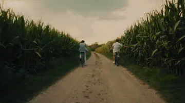 Zasłona do filmu "Bring mich nach Hause" #862480