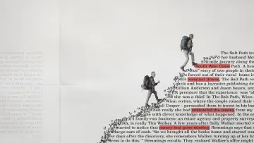 Zasłona do filmu "The Salt Path Scandal" #862677