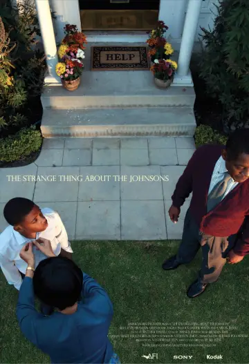 Plakat do filmu "The Strange Thing About the Johnsons" #1203100