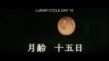 Zasłona do filmu "ウルフガイ 燃えろ狼男" #1620798