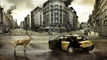 Zasłona do filmu "To już ostatnie dni" #306647