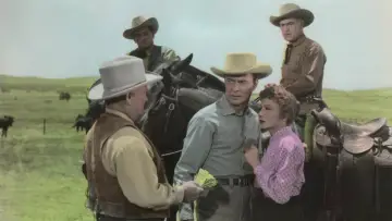 Zasłona do filmu "Texas Lady" #691910