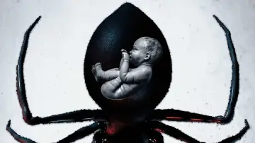 Widow plakat