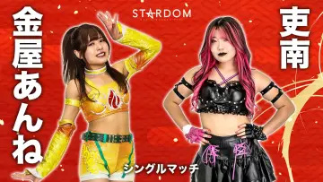 Zasłona do filmu "STARDOM NEW YEAR DREAM 2026〜Night〜" #544827