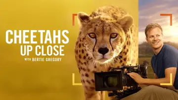 Zasłona do filmu "Cheetahs Up Close with Bertie Gregory" #539387