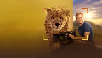 Zasłona do filmu "Cheetahs Up Close with Bertie Gregory" #539390