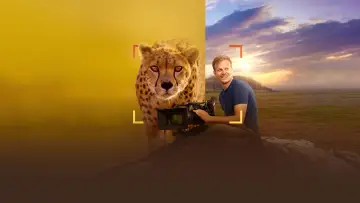 Zasłona do filmu "Cheetahs Up Close with Bertie Gregory" #539398
