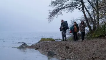 Zasłona do filmu "Wild" #1756780