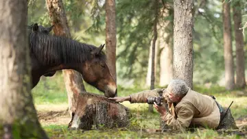 Zasłona do filmu "Wild Horses, the Rockies and Me" #659276