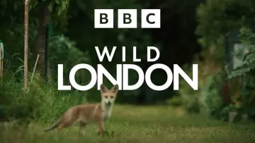 Zasłona do filmu "Wild London" #540338