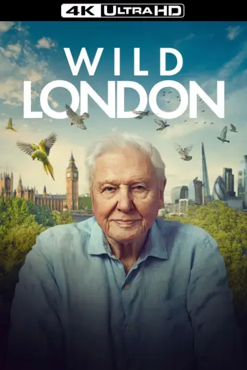 Plakat do filmu "Wild London" #540344