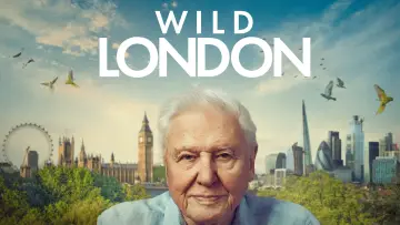 Zasłona do filmu "Wild London" #861329