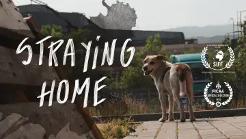 Zasłona do filmu "Straying home" #968889