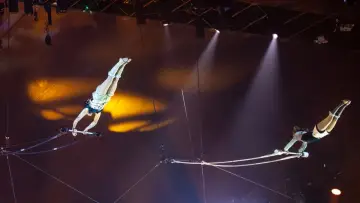 Zasłona do filmu "44e Festival mondial du Cirque de Demain" #1767052